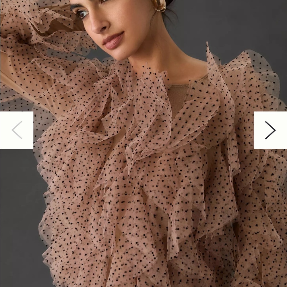 Dolan Left Coast Mesh Ruffle Blouse
